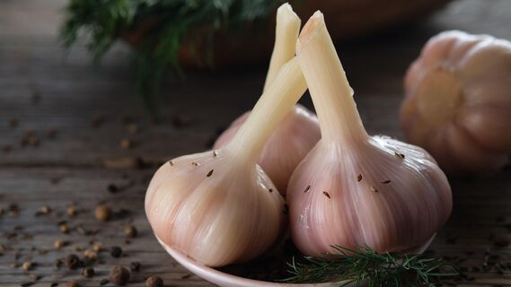 Быстрый рецепт маринованного чеснока