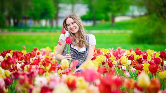 Почему можно не выкапывать тюльпаны