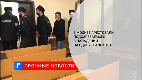 В Москве арестовали подозреваемого в нападении на вдову Градского