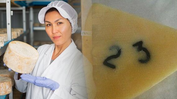 Без цифр изготовить качественный сыр будет сложно