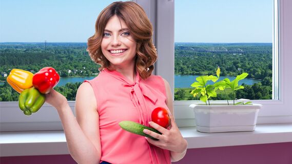 Будете есть вкусные и свежие овощи каждый день
