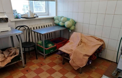 Родители учеников Кадетской школы Павловска выявили 19 нарушений при организации питания