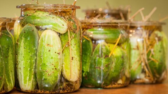 Маринованные огурцы со вкусом свежих