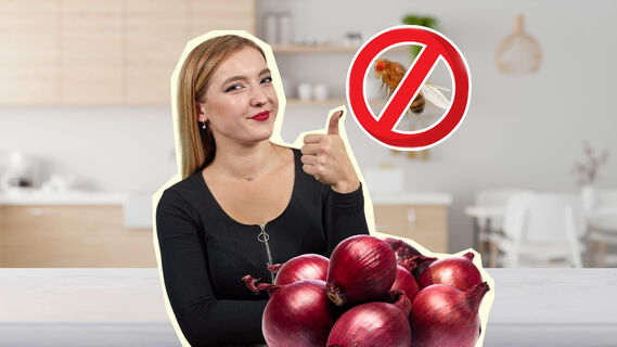 Как уберечь лук от мошек