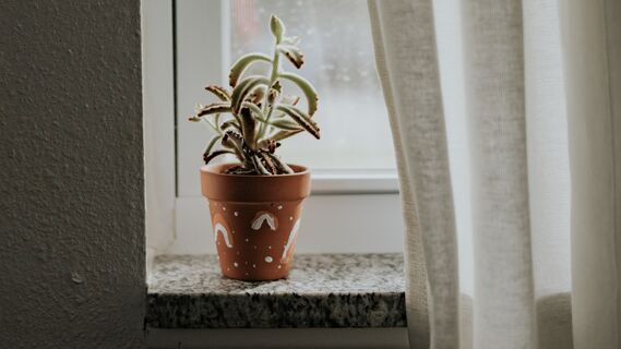 Скотч и вата не спасут: вот как быстро избавиться от сквозняка из оконного стыка