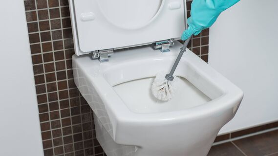 Самодельный очиститель для унитаза