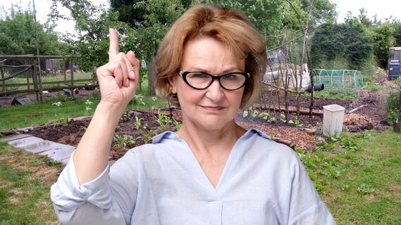 Какие работы нужно успеть сделать в огороде до холодов