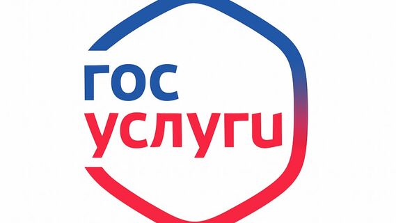 Подозреваете, что ваши «Госуслуги» взломали мошенники? Отставьте панику и следуйте плану