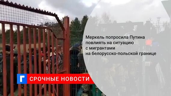 Меркель попросила Путина повлиять на ситуацию с мигрантами на белорусско-польской границе