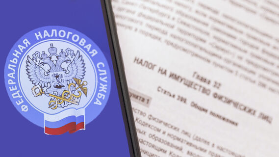 Налоговая служба