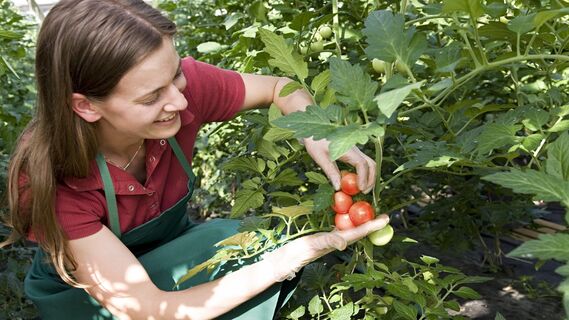 Удивитесь полученному результату
