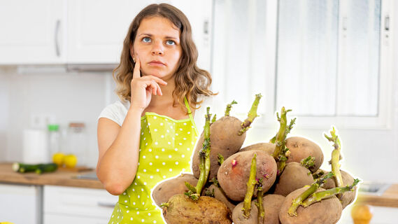 Картофель