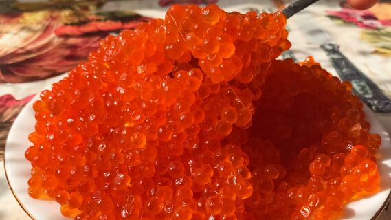 Выбрать качественную икру не так уж сложно