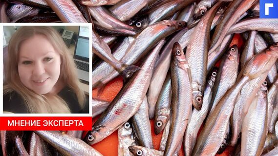 Петербургская корюшка подорожала до 1,6 тысячи рублей за кг