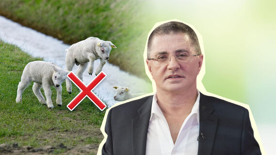 Мясников про борьбу с бессоницей