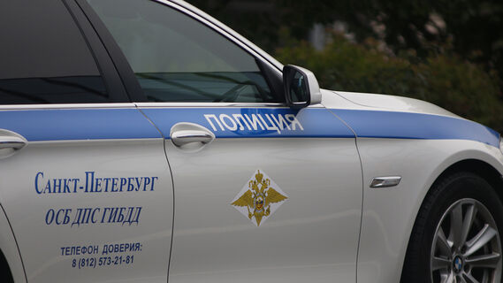 Получила по заслугам: петербурженке выписали штраф в 75 тысяч рублей за избиение полицейских