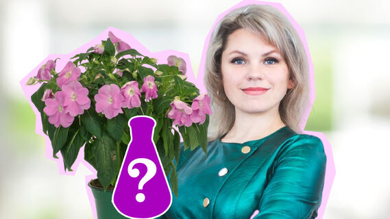 Как восстановить даже засохшие цветы: универсальное средство
