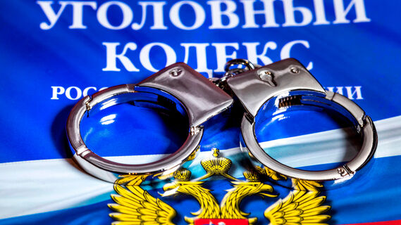 Адвокат Сидоров: обвиняемой в краже сиделке из Петербурга грозит срок до 6 лет