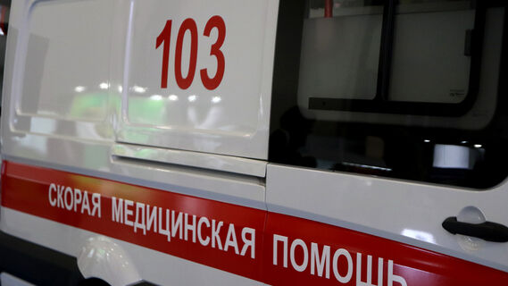 В Ленобласти в пруду утонул пятилетний ребенок