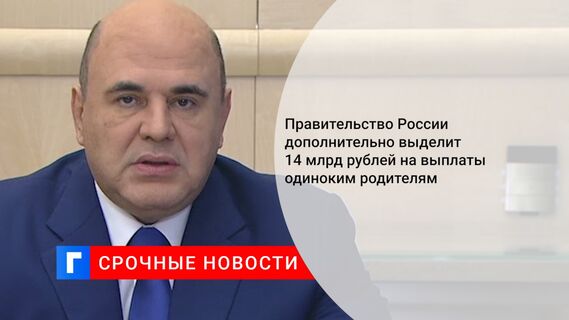 Правительство России дополнительно выделит 14 млрд рублей на выплаты одиноким родителям