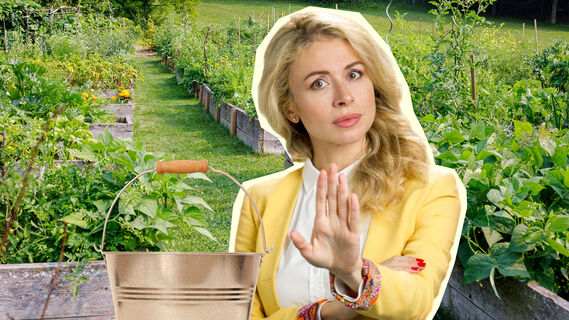 Вот что нельзя класть во всем известную «бродиловку»