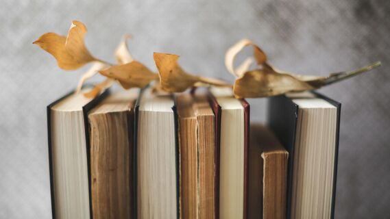 Осенние книги