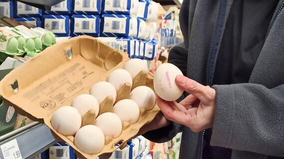 Шеф-повар рассказал, на что обращать внимание при выборе продукта