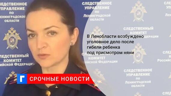 Прокуратура Ленобласти начала проверку после обнаружения тела ребенка, жившего с няней