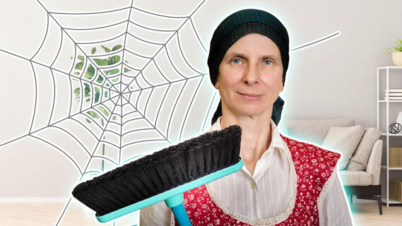 Как избавиться от паутины на потолке и не только