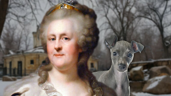 Екатерина II, собака