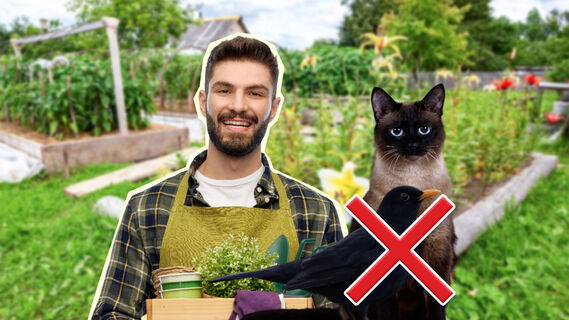 Дорогие материалы не потребуются