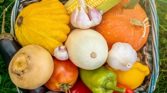 Главные продукты осени