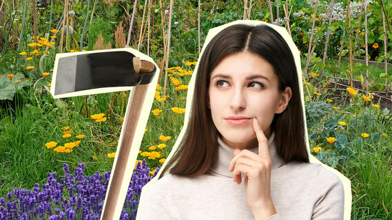 Как ухаживать за тяпкой
