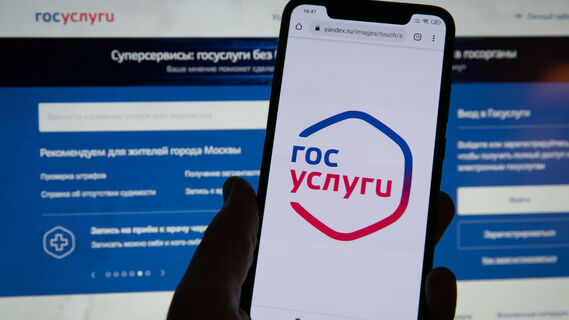 Оплата за оформление документов возрастет на «Госуслугах»