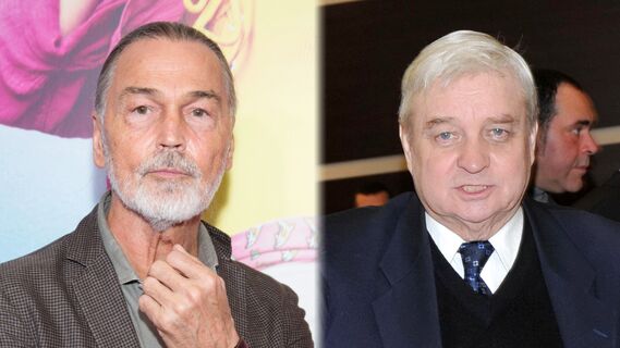 «Ничего не поделаешь»: Сафронов упустил возможность поставить памятник бывшему мужу Пугачевой