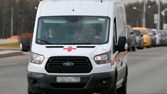 Выступавшего в Александровском парке артиста госпитализировали с ожогами