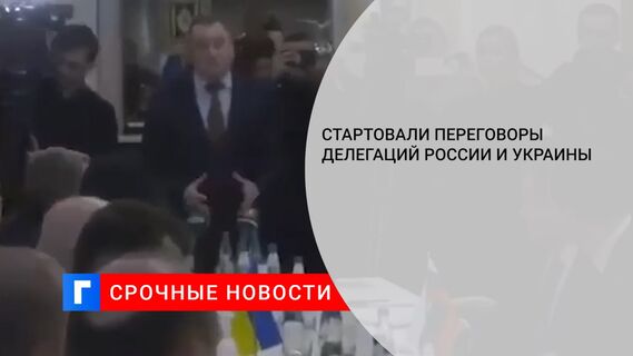 Стартовали переговоры делегаций России и Украины