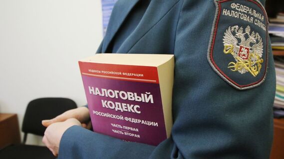Аннулируют автоматически: в Госдуме пояснили, кого избавят от долгов по налогам в 2024 году