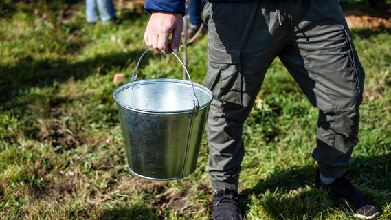 Удивитесь полученному результату