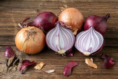 Не выбрасывайте луковую шелуху: она творит чудеса с комнатными растениями — цветы растут как на дрожжах