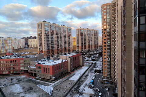 Рост в 10 раз: грипп разгулялся в петербургских школах