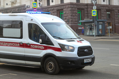 девочка пострадала от укуса