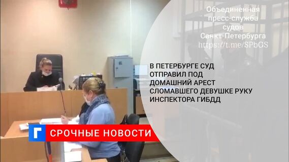 В Петербурге суд отправил под домашний арест сломавшего девушке руку инспектора ГИБДД