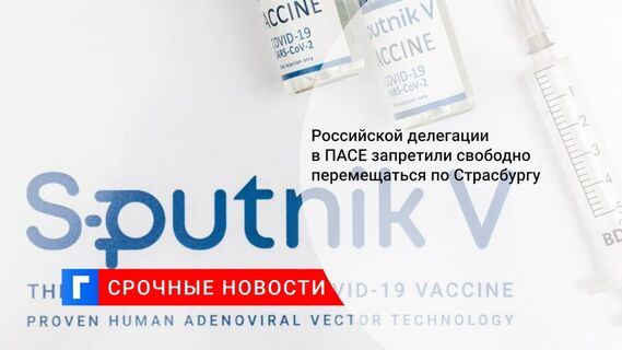 Российской делегации в ПАСЕ запретили свободно перемещаться по Страсбургу