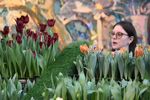 Ботанический сад