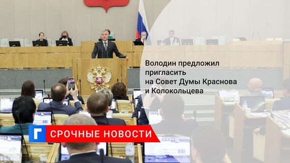 Володин предложил пригласить на Совете Думы Краснова и Колокольцева