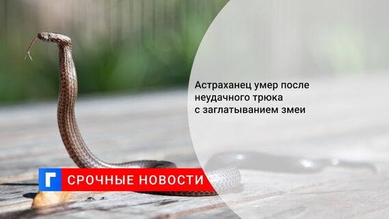 Астраханец умер после неудачного трюка с заглатыванием змеи