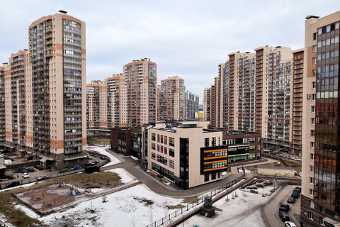 Угроза в портфеле: ЗакС предлагает обыск школьников перед уроками в Петербурге