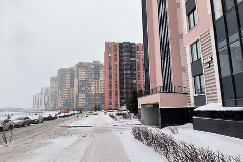 Снежный «счет» на 30 млн: как ГАТИ штрафует за уборку во дворах Петербурга