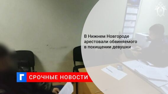В Нижнем Новгороде арестовали обвиняемого в похищении девушки 